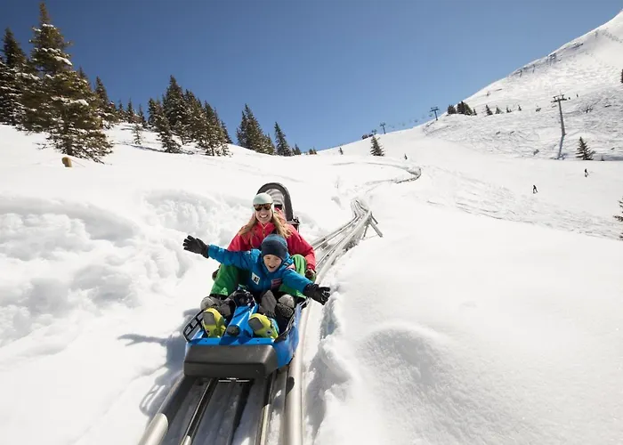 Maison d'hôtes Bergheim